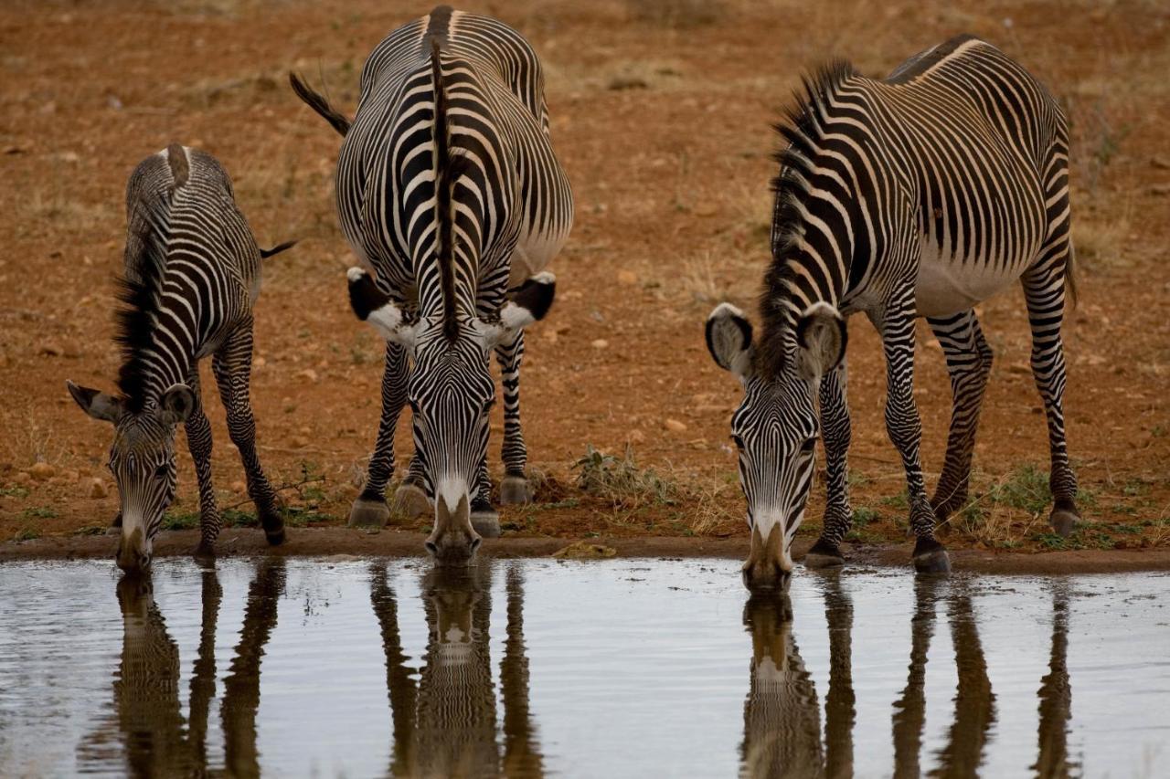 Samburu Sopa Lodge Archers Post Bagian luar foto